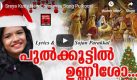 Pulkootil Unniesho – പൂൽക്കൂട്ടിൽ ഉണ്ണിശോ വന്നു പിറന്നൂ